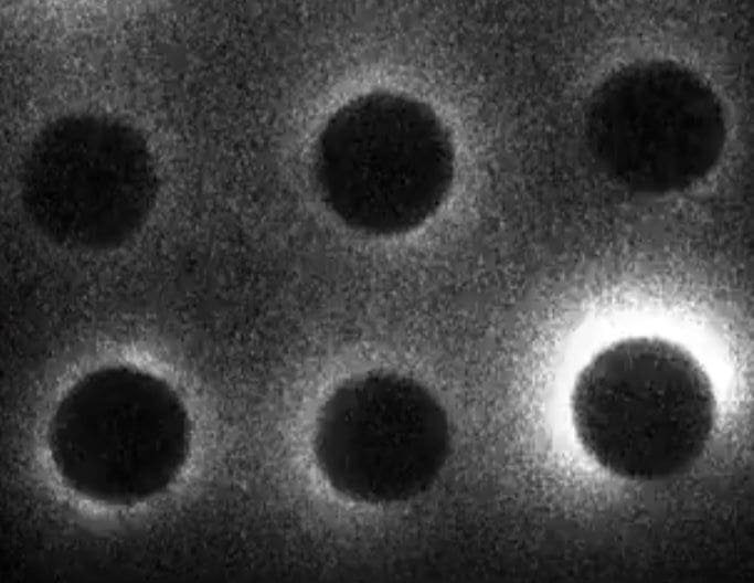 light during conception